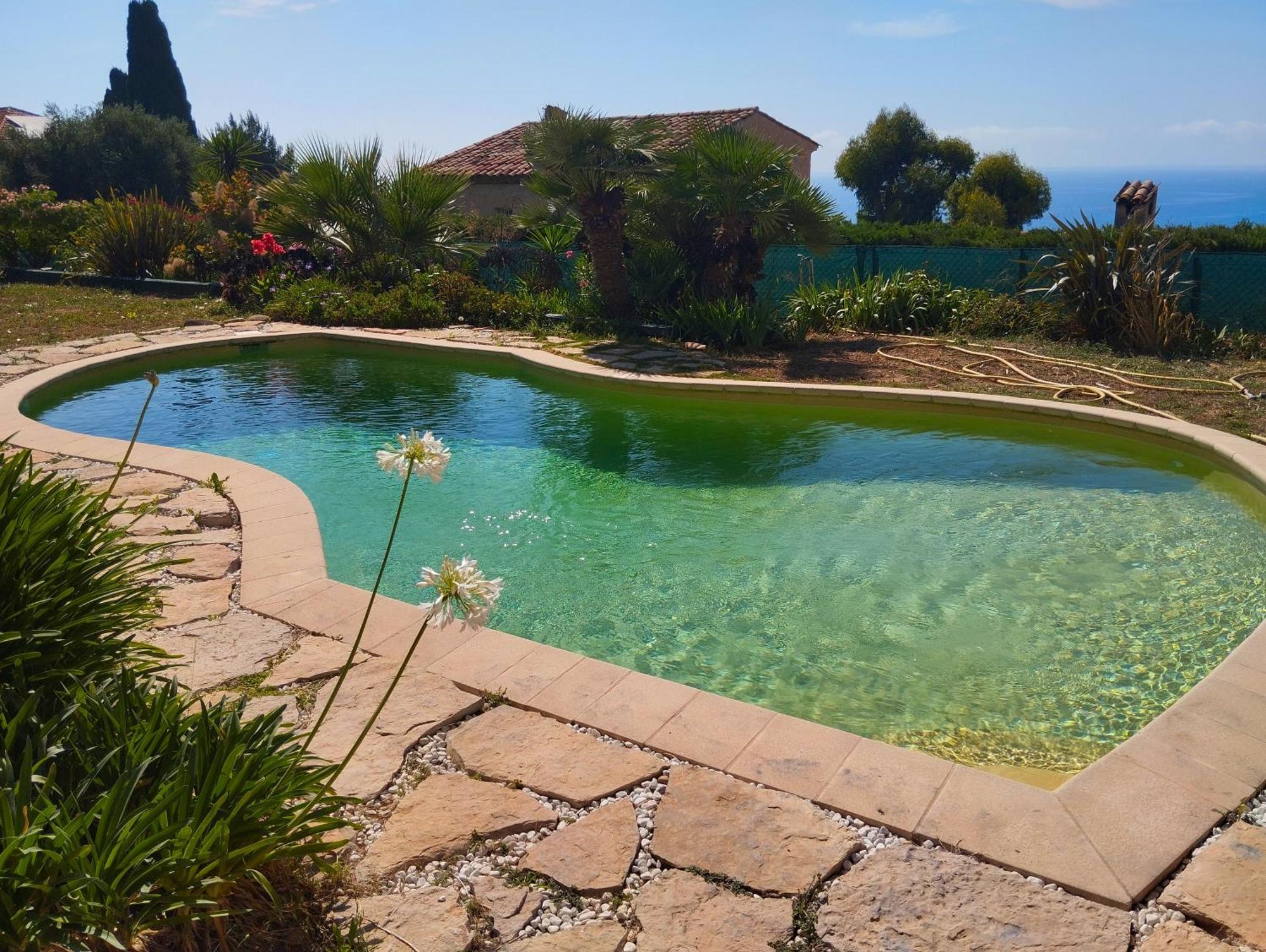 L'albizia Сasa de vacaciones *